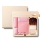 scelta blush fard carnagione tipologia pelle