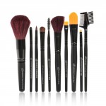 E.l.f. 10 Brush Set 2011