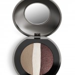 Artistry Lavish in Cashmere Trio Ombretti Coco Brown