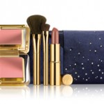 Estee Lauder Swatovski Evening Collection Bag