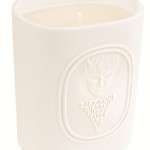 idee regalo natale 2011 profumi di nicchia diptyque