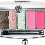 Dior Garden Party Garden Clutch 002