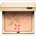 Clarins Colour Breeze Face and Blush Powder Palette