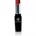 Evagarden Desire Lipstick Stylo