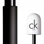 ckone brow duo wily brunette