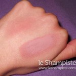 Neve Cosmetics Blush Ikebana swatches