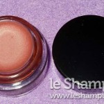 Estee Lauder Pure Color Stay-on Shadow Paint 06 Cosmic