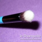 Neve Cosmetics Pennello Turquoise Eyebuki