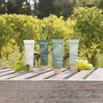 Caudalie Maschere viso