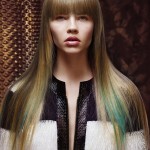 tendenze autunno inverno 2015 2016 ciocche colorate capelli